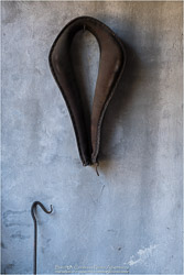 Archival Prints