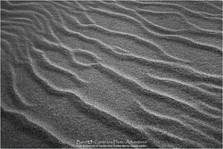 Prints - Black & White, Sepia