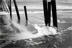 Prints - Black & White, Sepia