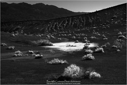 Prints - Landscapes