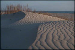 Prints - Seascapes & Coastal