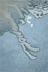 Prints - Seascapes & Coastal