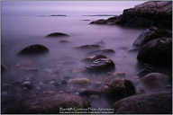 Summertime on the Maine Coast