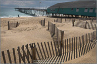 Springtime on the Outer Banks