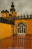 Instructor Workshop Galleries